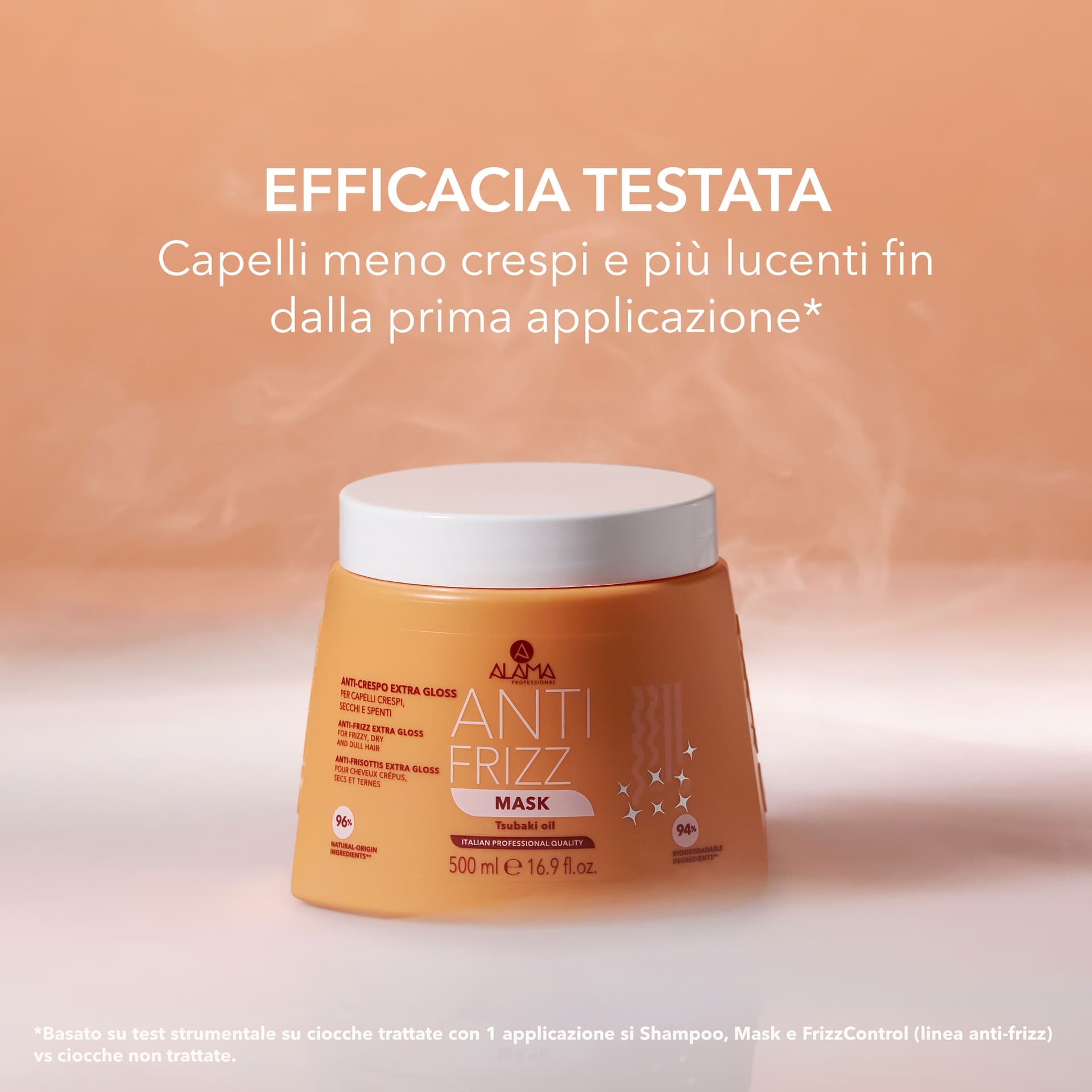 Anti Frizz Mask 2