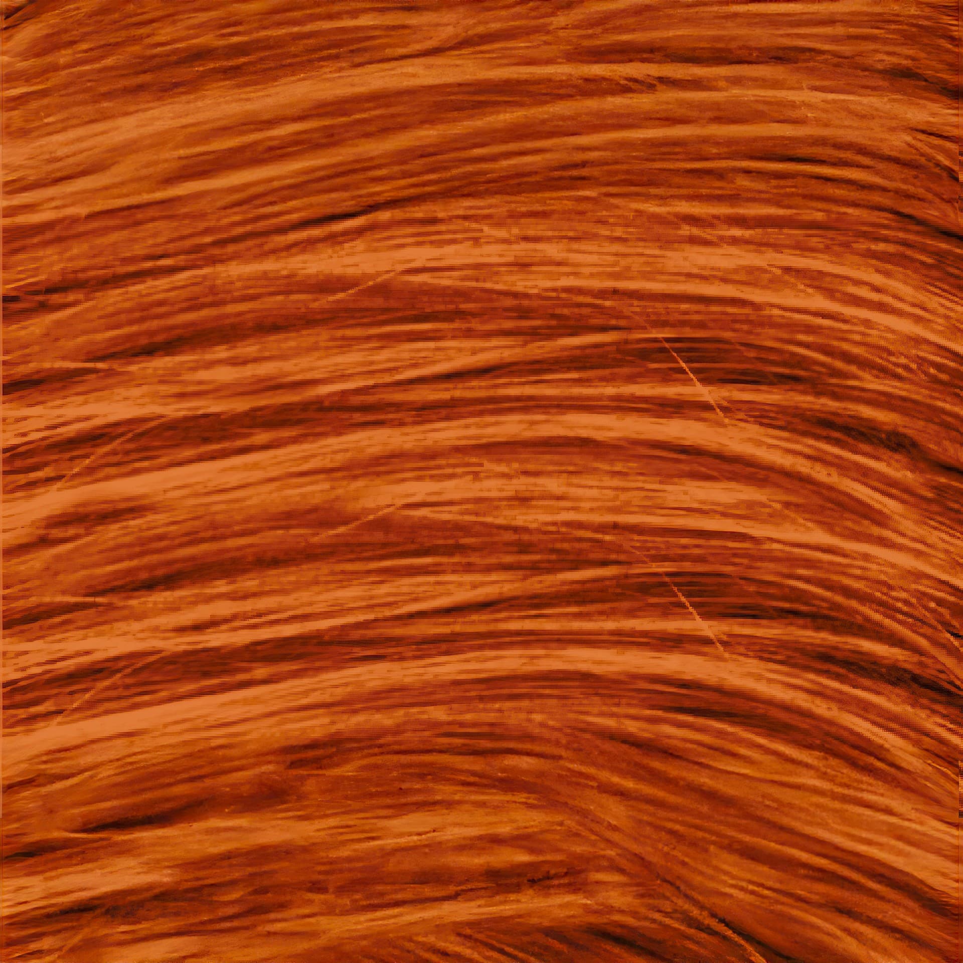 Maschera Colorante Rame 4