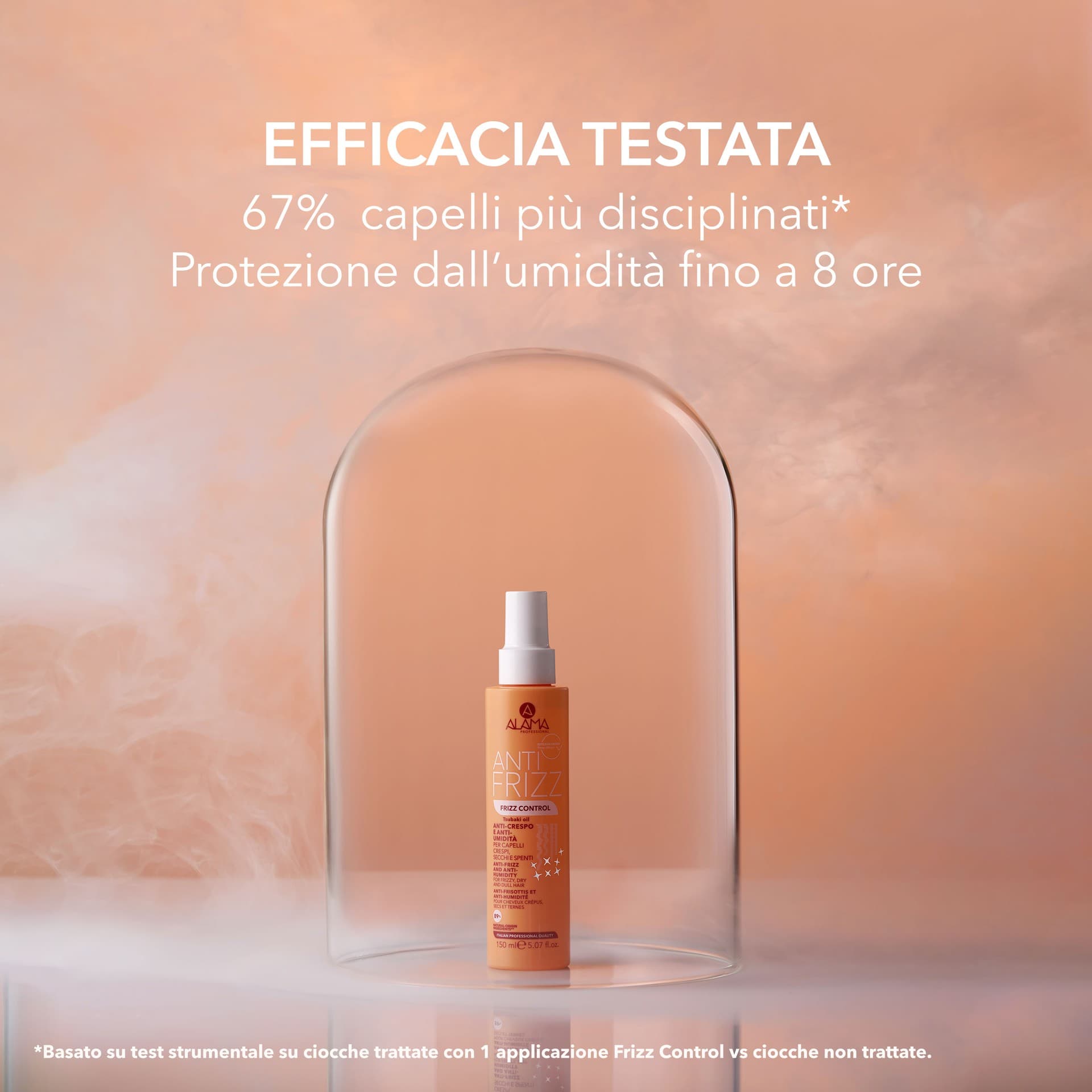 Frizz Control 2