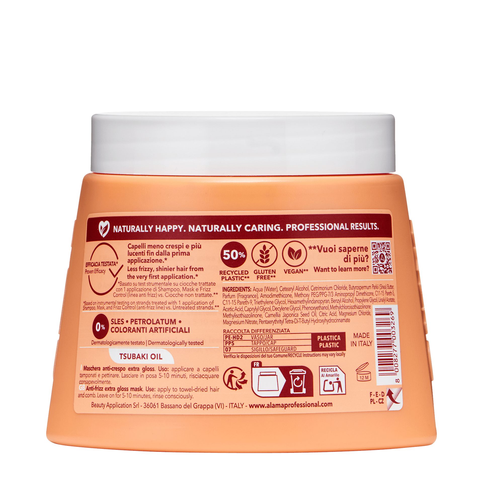 Anti Frizz Mask 1